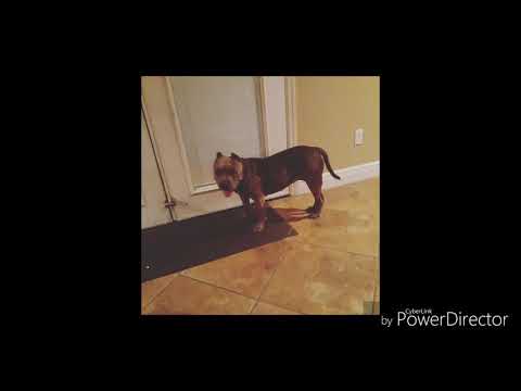 Sacked up (YgTy Hook) 2019 Release