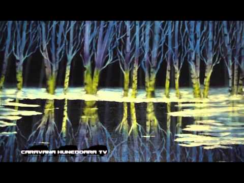 CARAVANA HUNEDOARA TV - Sântămărie Orlea - Oameni şi locuri