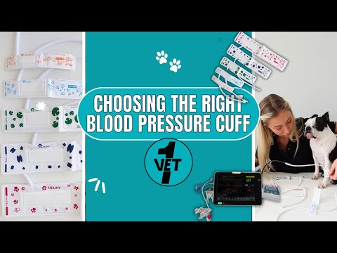 Choosing the right veterinary Blood Pressure Cuff   🩺🐾 Vet1