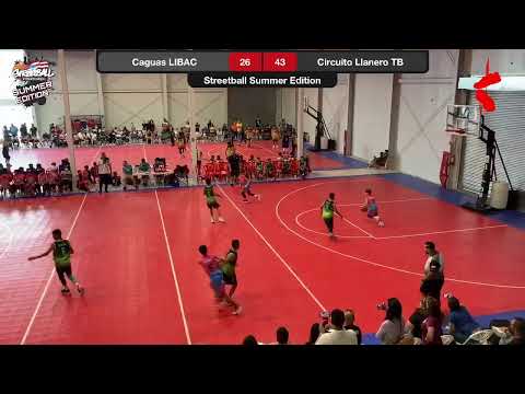Streetball Summer Edition-Caguas LIBAC VS Circuito Llanero Toa Baja-12 under