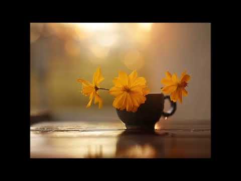 Love secret - Makis Ablianitis & Dragan Dautovski