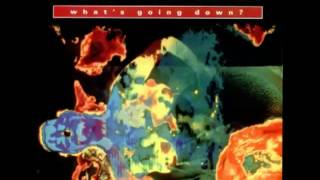 The Shamen - What's Going Down?