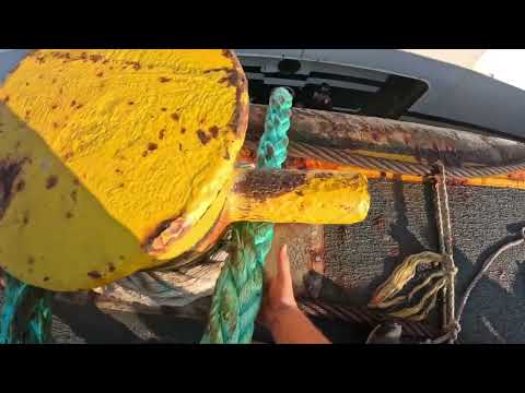 Typical Day as a DeckHand