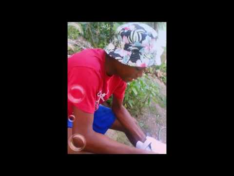 Tell u bout tropical gang