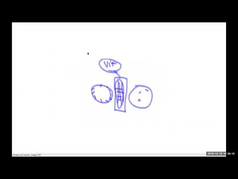 2018 12 19 PM Public Teaching in Spanish   Enseñanzas públicas en Español