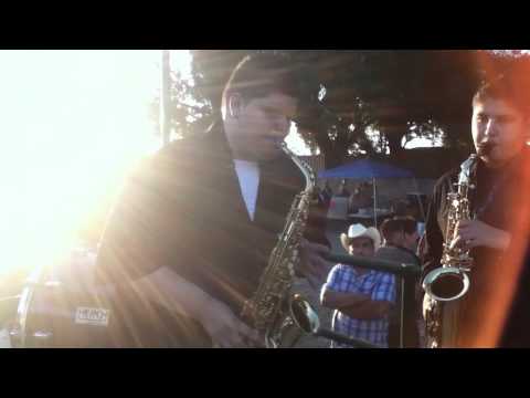 Malkreadoz coleadera #8