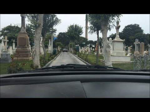 La abuela Norma -  PINTA BRAVA