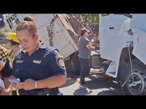 Volcó un camión con ganado y las vacas pasearon por Villa Giardino