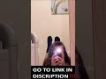 New Bugs Bunny Challenge TikTok Compilation 2021 TikTok Bugs Bunny Trending