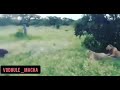 Ee Sala Cup Namde Telugu Trolls Funny Video Clips Trending Viral Criket