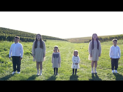 Fratii Aslam - O inima curata