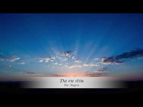 Voi pierduti cu sarcini grele - Ilie A Negru