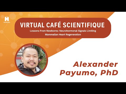 Virtual Café Scientifique | Neurohormonal Inhibitors of Heart Regeneration