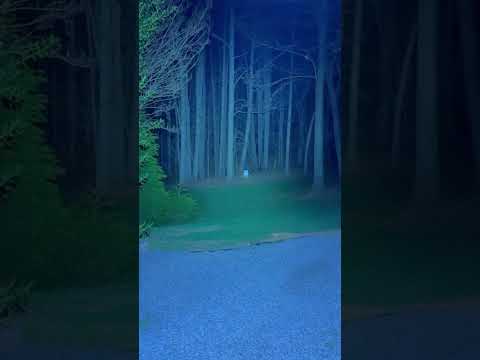 Streamlight Stylus Pro USB Flashlight Review