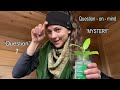Learn ASL Mystery Puzzled