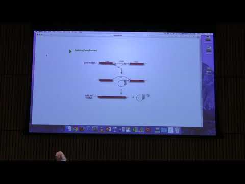 Lecture #48 Ahern's BB 451 - Transcription/Translation