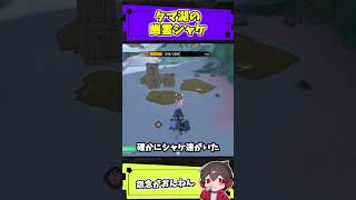 シャケの幽霊、現る。で、消える【スプラトゥーン】【スプラ小ネタ】