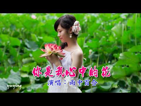 Em là bông hoa trong tim anh (Nǐ shì wǒ xīn zhōng dí huā - 你是我心中的花) - Lily