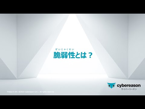脆弱性 (IT)について詳しく解説