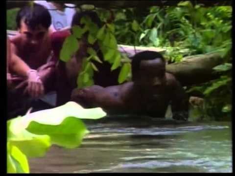 Umpah-Pah - La catximba i els rostolls d'Angelina