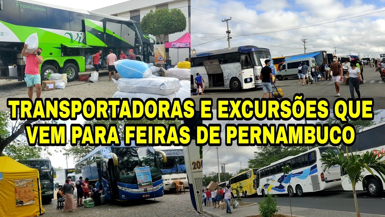 Watch Now TRANSPORTADORAS E EXCURSÕES QUE VEM DE VÁRIOS ESTADOS DO BRASIL 🇧🇷PARA FEIRAS DE PERNAMBUCO TRANSPORTADORAS E EXCURSÕES QUE VEM DE VÁRIOS ESTADOS DO BRASIL 🇧🇷PARA FEIRAS DE PERNAMBUCO