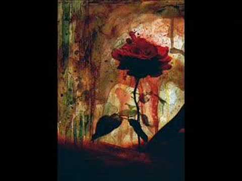 Ilahija Nemoj zalit suzama Mensura  Bajraktarevic