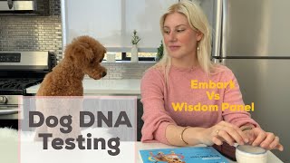 Dog DNA Testing, comparing Embark Vs Wisdom Panel | Blooming