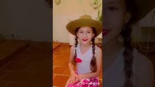 Día de la Santandereanidad