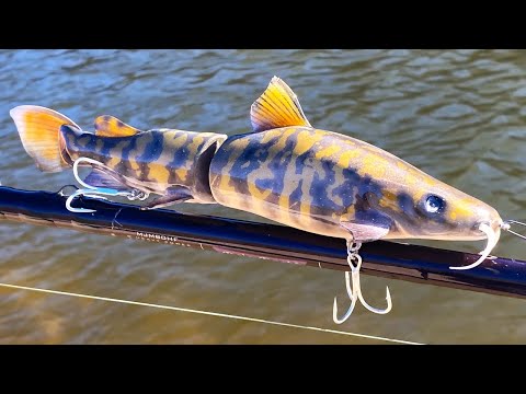 Making a FlatHead CatFish SwimBait