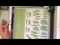 Using the Scan & Cut with my Fern Freebie