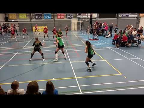 the final cut. seven losers-armixtos lions.