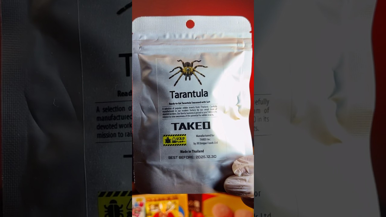 HO COMPRATO UNA TARANTOLA!