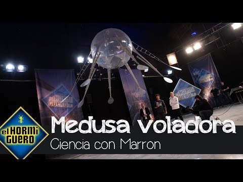 Marron sorprende con una medusa voladora - El Hormiguero