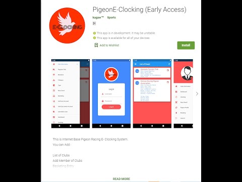 Pigeon E-Clocking