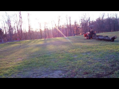Skidding logs with the Kubota, it's a BEAST! - Ep. 107