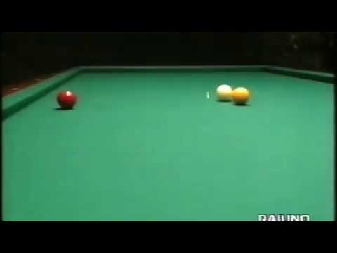L' arte del biliardo 1995 Diretto dai grandi campioni
