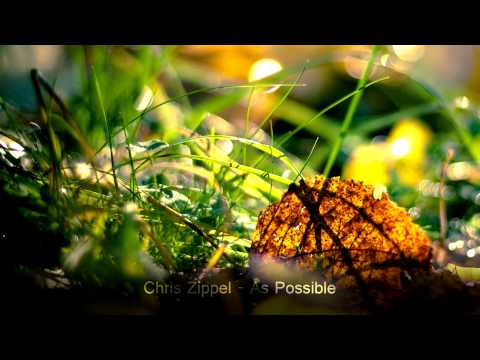 Chris Zippel -  As Possible