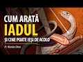 Cum Arată Iadul și Cine Poate Ieși De Acolo Pr Nicolae Dima