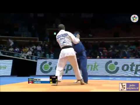 Judo 2013 Grand Prix Jeju: Pacek (SWE) - Reyes (CAN) [-100kg] bronze
