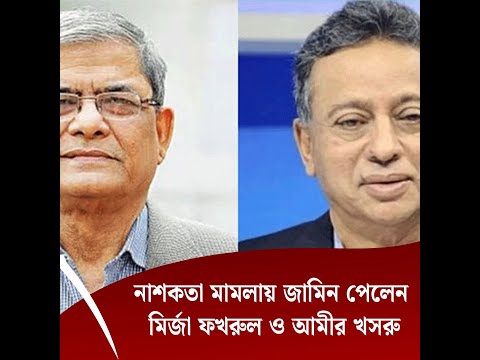 নাশকতা মামলায় জামিন পেলেন মির্জা ফখরুল ও আমীর খসরু