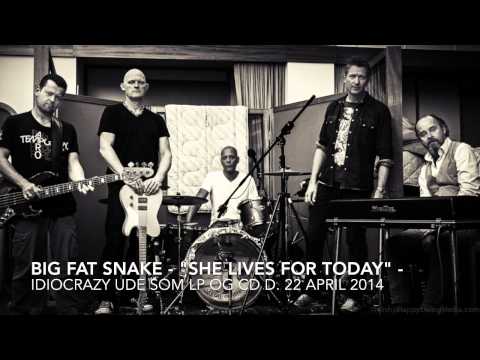 Big Fat Snake - 