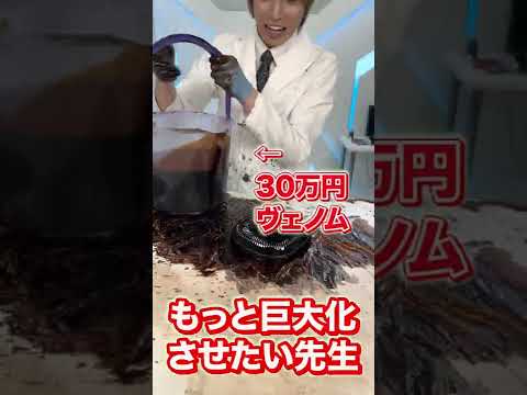 こちらはNASAです