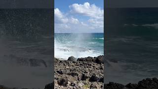 Cruise Excursion Shorts - Tour of Grand Cayman Island's East End and Rum Cake Factory Tour