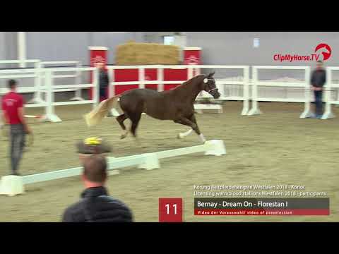 11 Hengst v. Bernay - Dream On - Florestan I