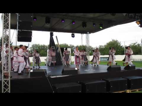 Zilele orasului Insuratei mai 2017 4