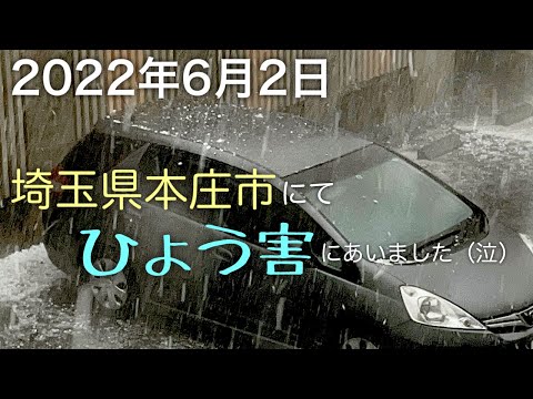 果樹を保護するためのマルチング 2023