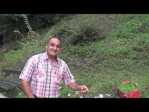 ORKESTAR ČAROBNJACI Mikica Krstić - Of vijacă of (Official video) 2014