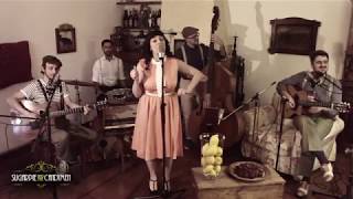 Sugarpie and the Candymen - Lemon Tree (Live in the Living Room)