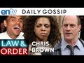 Chris Brown Law And Order SVU Episode Rihanna Singer Beaten Karrueche Tran Jay Z Cameos ENTV