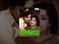 Kula Gowrava Kannada Full Movie Kannada Movies Full Dr Rajkumar TR Jayanthi Bharathi